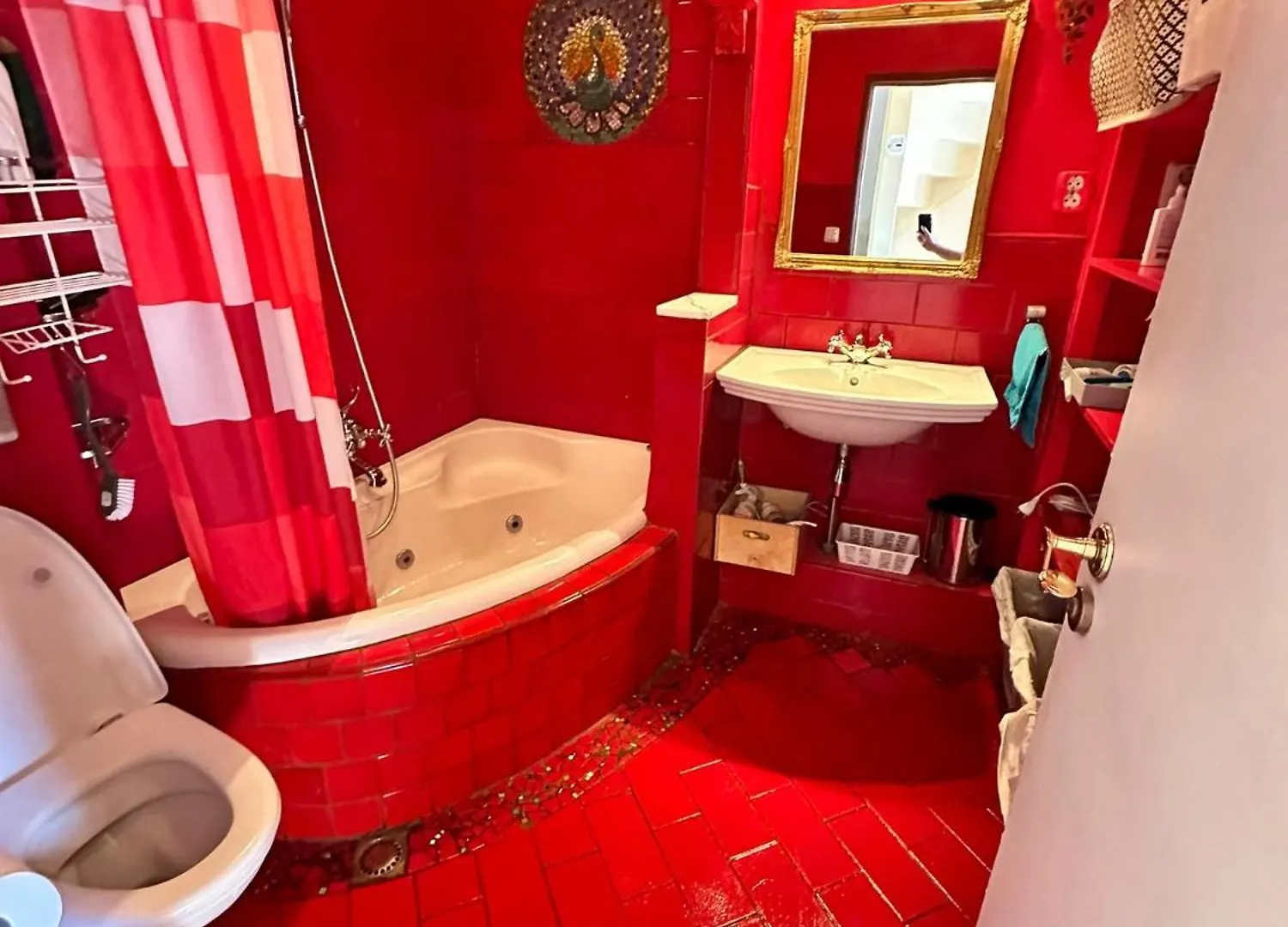 Homestay Room Ουτρέχτη 0*,  Ολλανδία